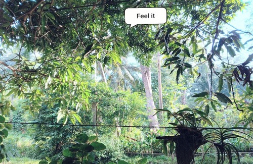 Udawalawa House | Welcoming house with AC in Udawalawe