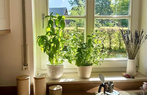 Munster Apartment | Feel-good oasis near Münster - Quiet 120 sqm apartment!