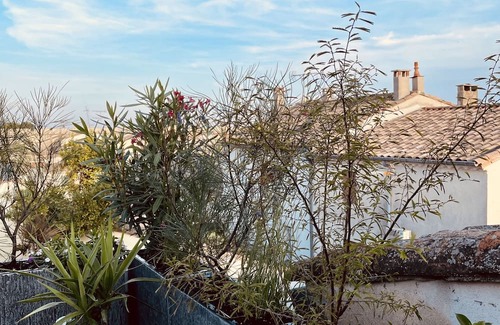 Aigues-Mortes Medieval City Apartment | Apartment-Ensuite with Bath-Terrace