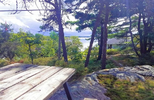 Carling Cabin | Comfy Cottage in Georgian Bay - Rockwood #4