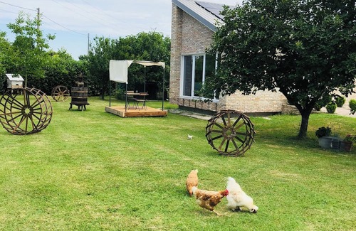 Musestre Cottage | Modern cottage surrounded by nature