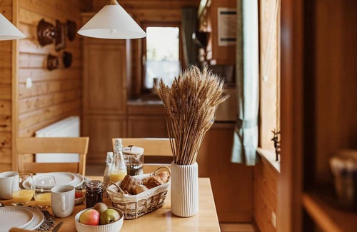 Rotacker Apartment | HAS-41 - Vacation home in timber construction with terrace - Holiday home in the