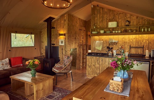 Glastonbury Cabin | Pippin, set in a peaceful orchard just ten minutes from Glastonbury