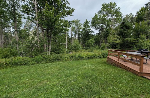 Pittsburg Cabin | Kismet Reach - Refreshed Cabin on the Trails in a Great Location of Pittsburg