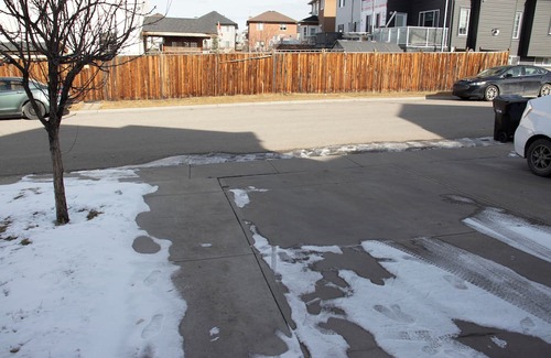 Calgary House | Cozy house situated about 13 mins to the Airport, few minutes to many amenities.