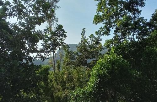 Ella House | Winking holiday resort