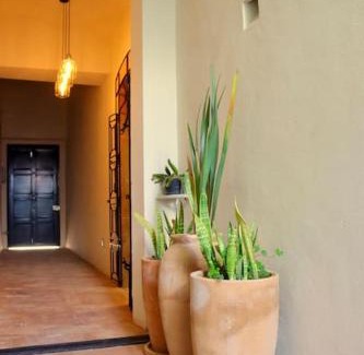 Leon Centro Apartment | Depa en 1er piso zona centro