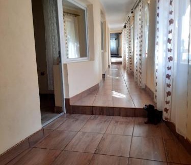 Baile Herculane House | Casa Grecu