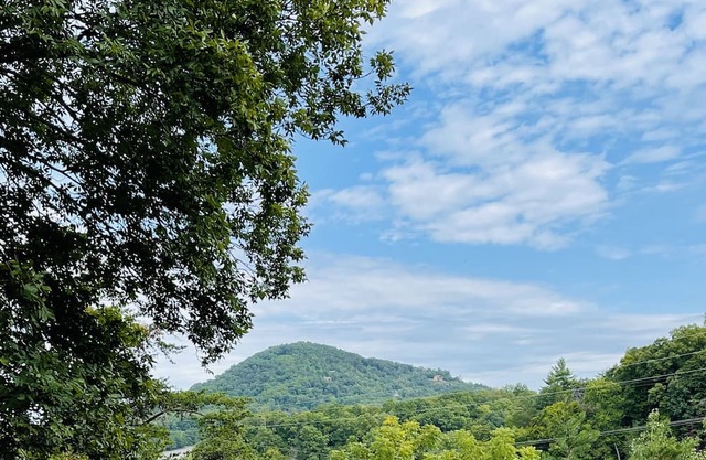 3BD/2BA HOME /CLOSE TO DOLLYWOOD/ PET FRIENDLY