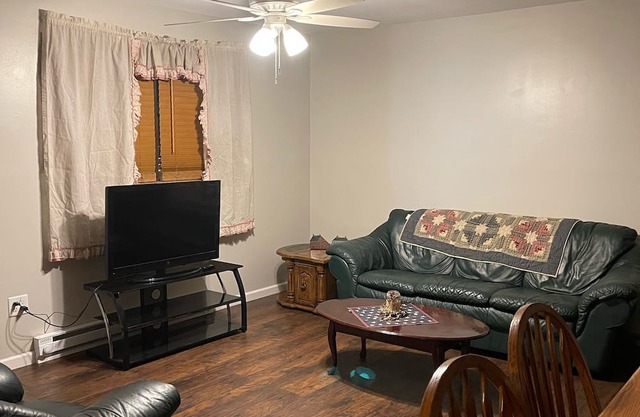 Cheersful 4-bedroom home in the country