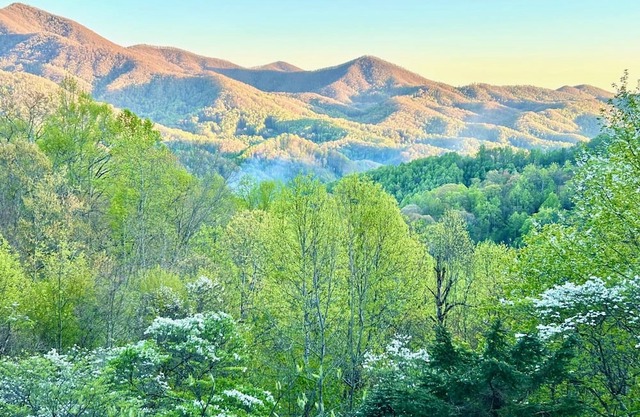 NEW LISTING! Fabulous Mountain Views-The Nut House-Sylva, NC by Sunscape Property Management