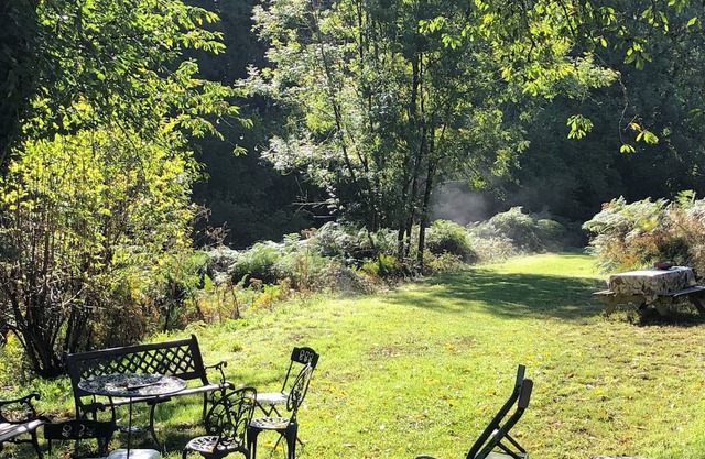serene peace in the middle of the forest