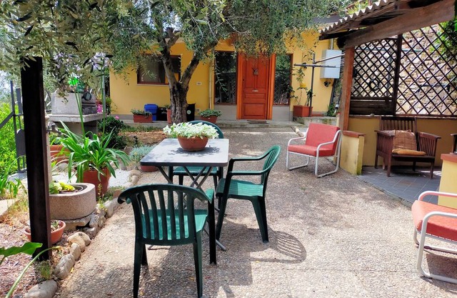 Peace and calm among the seven hundred olive trees
