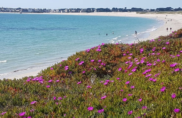 Finistere, Entre MER ET Monts, Maison Lumineuse