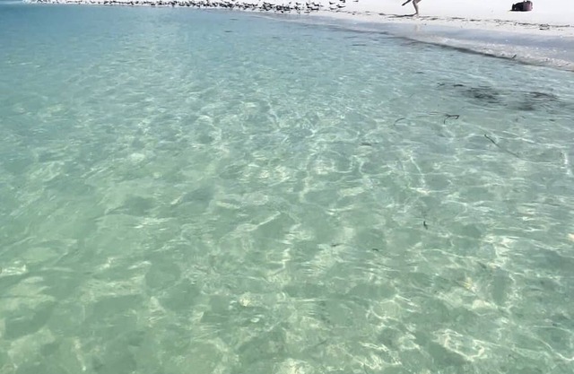 Tranquility. Oh what a feeling. nnWaterfront fishing.nnLovely 3 Bedroom 3 Bath