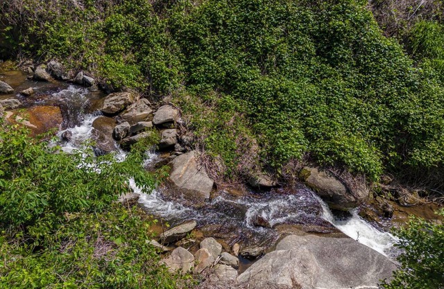 Grassy Creek Cottage: Peaceful Escape 5 min from Chimney Rock