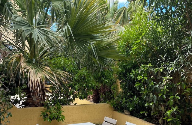 Vrbo Property