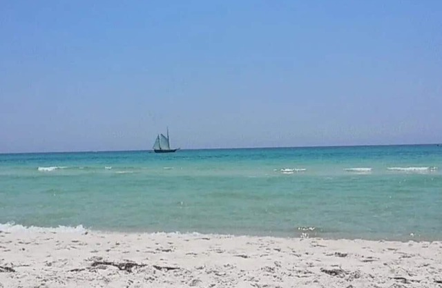 Pet-Friendly Beachside Haven for 8, Walk to Beach