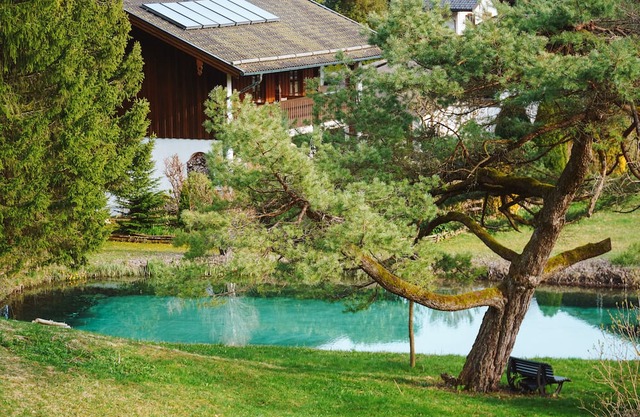 Gemütliche Ferienwohnung Mitten im Grünen mit Badeteich und Direktem Bergblick!