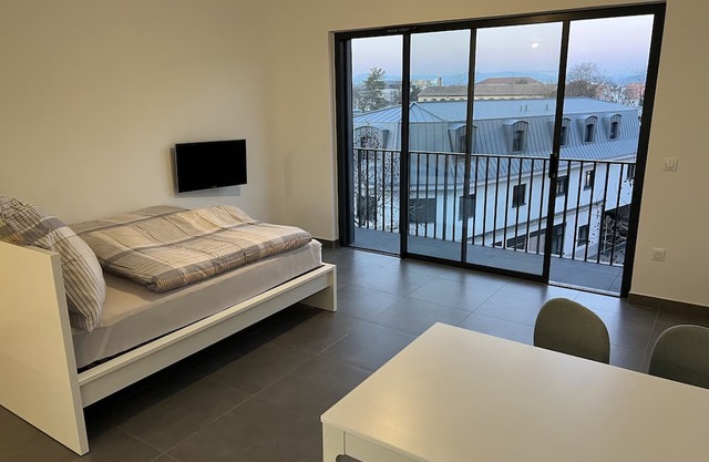 Wohnung Saint Louis Elsass, Nähe Basel , Flughafen, Dreiländereck, Wlan
