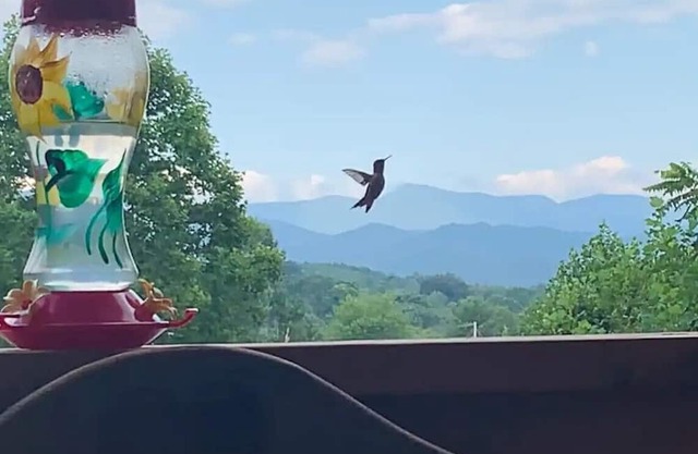 Private Guest Suite with Mountain View Near Asheville