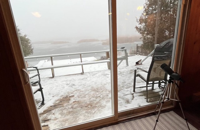 Kawartha Lakeside Haven. Cozy waterfront cottage, pet friendly retreat