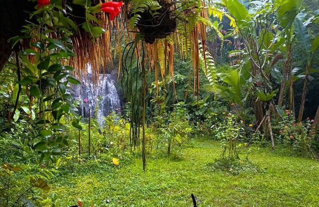 Das Dschungel zu Hause Neben Privatem Wasserfall