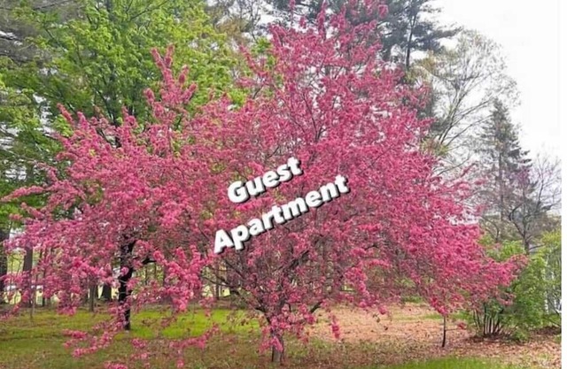 Guest Apartment: 1bd/1ba/Full Kitchen/100% Private