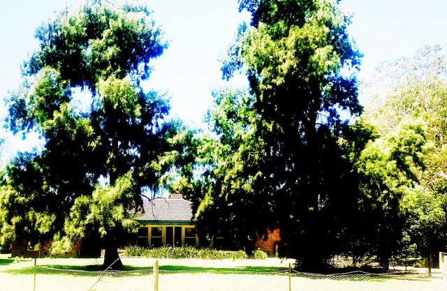 Idyllic, farming property, hidden amongst towering gumtrees and golden pastures.