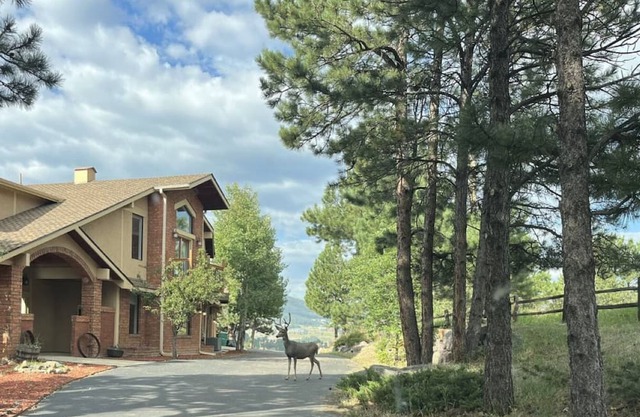 Luxury Mountain View Get Away Entire Second Floor