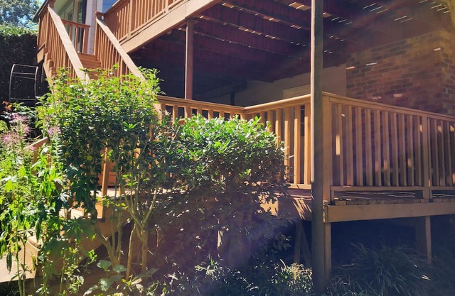 Lush secret garden and forest pathway right by Stone Mountain Park!