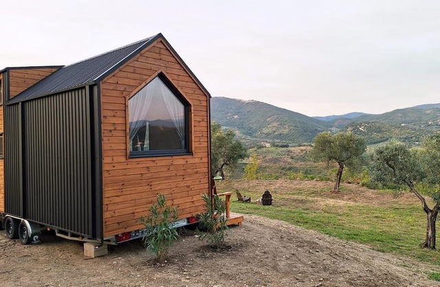 Olivo Nomade 2 by Tiny Away