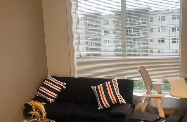 Luxury entire 1 bedroom unit