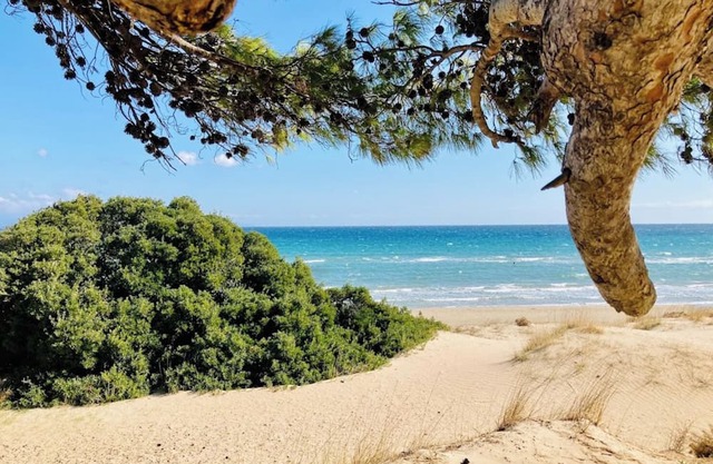 Charming loft-style apartment just 60 m from Artemida’s long sandy beach!