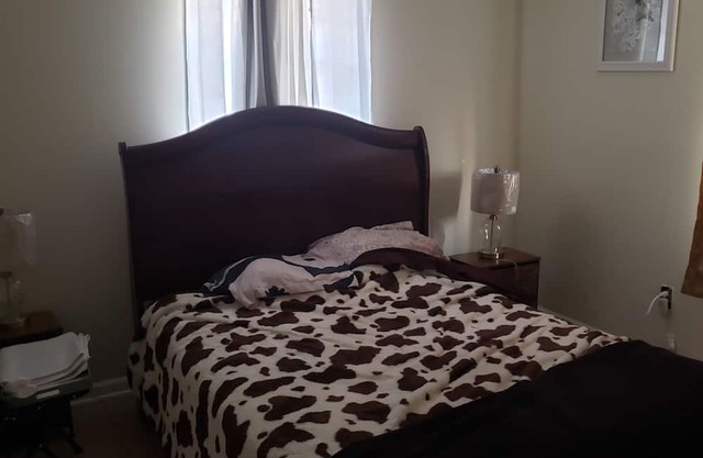 Pet Friendly Home 1/2 mile away from park and 5.5 miles from the french quarter