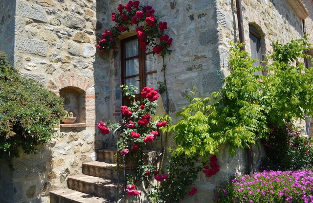 Bellavista Farmhouse between Mount Amiata and Val d'Orcia - Lecci Apartment