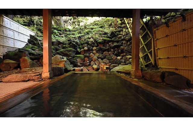 No smokingNakayashiki 12 or 10 tatami mats 45 tatami mats Breakfast included/Agatsuma Gunma