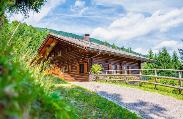 Holiday house Berg im Drautal for 1 - 10 persons with 3 bedrooms - Holiday house