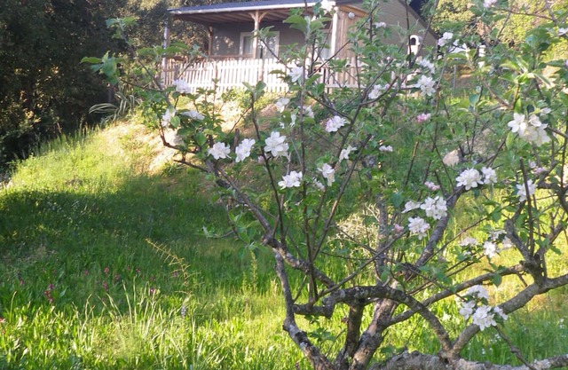 Chalet rental in the shade of oak trees on private property 7 minutes from the sea