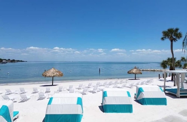 Tropical Escape - 2 Units w/Ocean View, Marina Access & Downtown Attractions