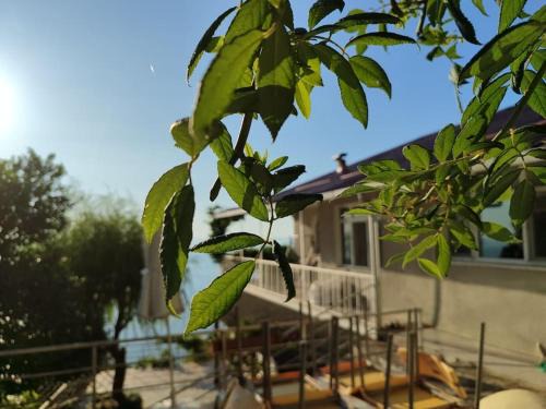 Kemer Kır Evi