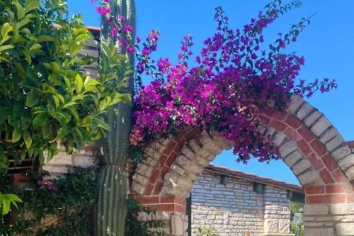 Bouganvillea Pool & Sea