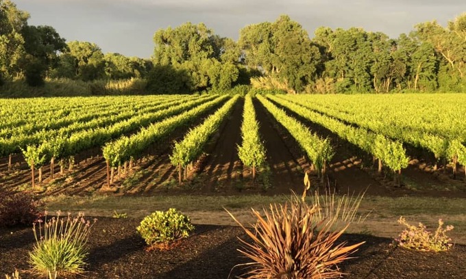 Victor House | Beautiful Luxury Estate in the Vineyards