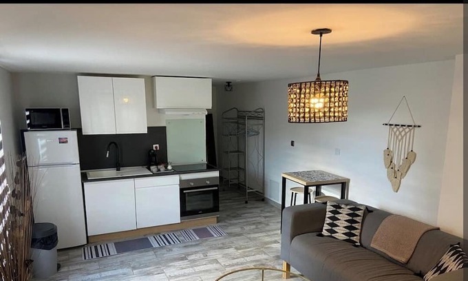 Marsillargues Villa | 270m2 villa/apartment complex with swimming pool on 1200m2 grounds