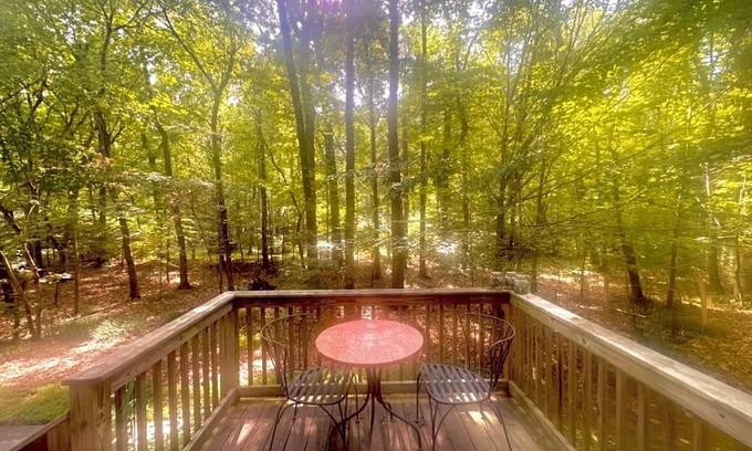 Hillsborough Apartment | Woodland Haven only five minutes from historic downtown Hillsborough!