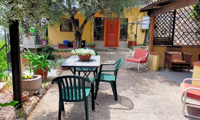 Castellaro House | Peace and calm among the seven hundred olive trees