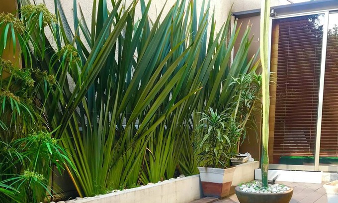 Del Valle Apartment | Vrbo Property