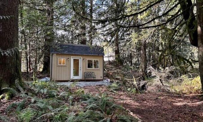 Snohomish Cabin | Tiny Hideaway Cabin