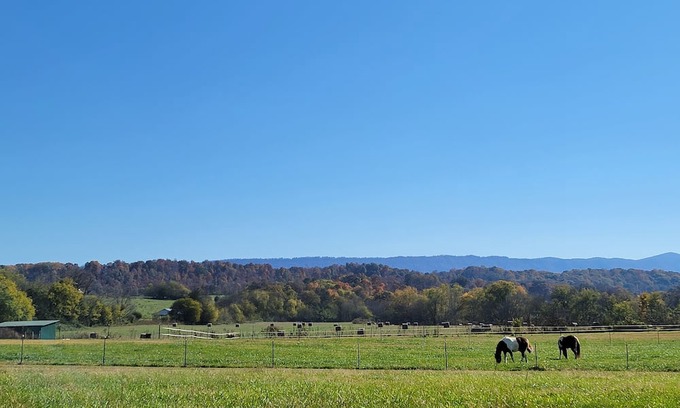 Tennga House | TN Riverfront RV escape w/ RV, Kayaks, & beautiful views!