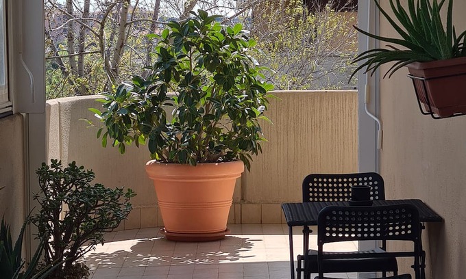 Rome Province House | Holiday Home 'Rooms and Comfort Apartment' with Shared Garden, Wi-Fi and Air Conditioning